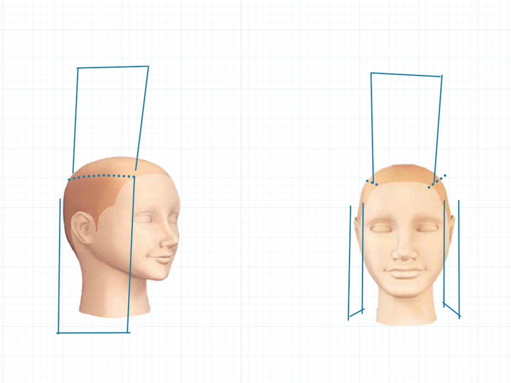 カット展開図