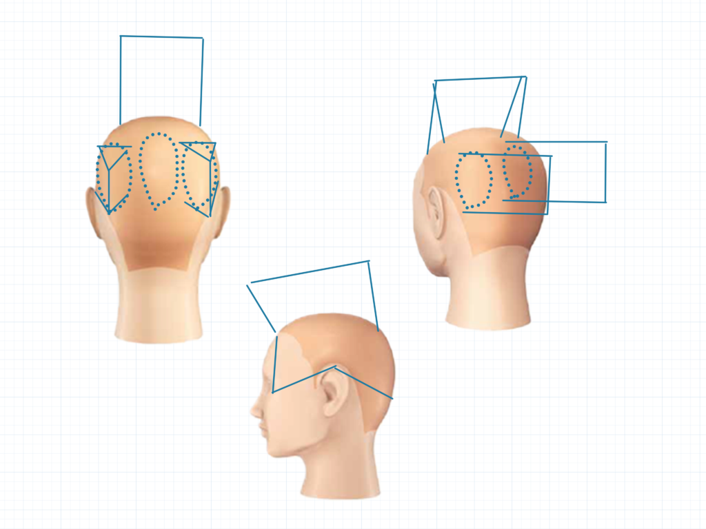 カット展開図