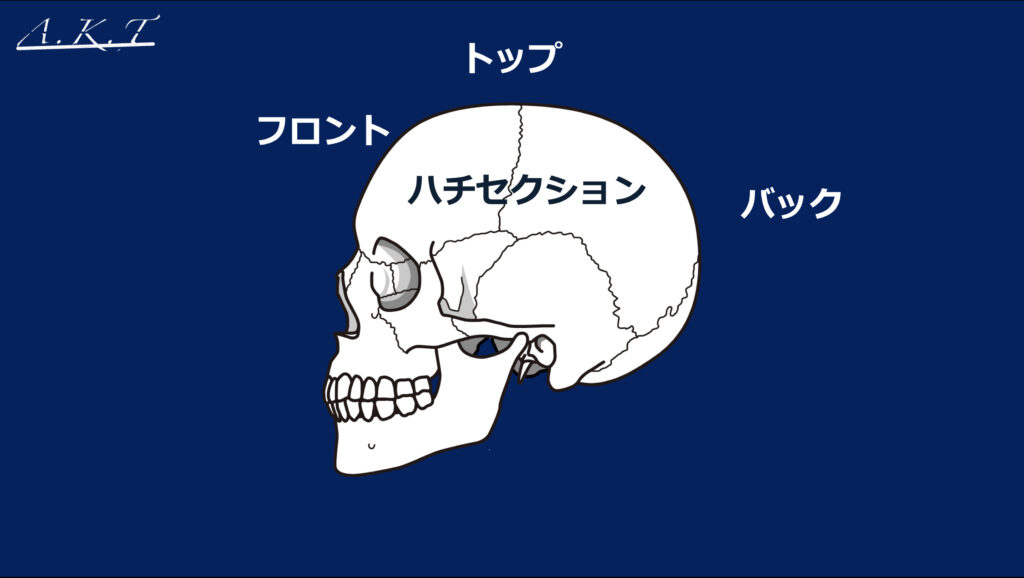 カットの基本編切り方・考え方