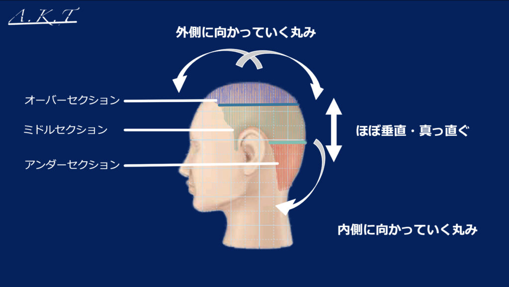 カットの基本編切り方・考え方