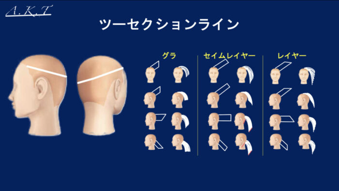 ツーセクションカット
