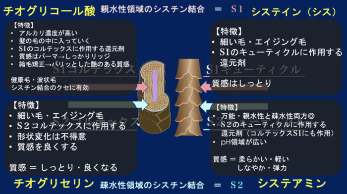 パーマ薬剤・チオ・シス・システアミン・チオグリセリン・GMT・スピエラ