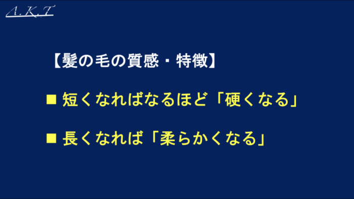ツーセクションカット