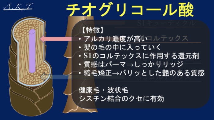 パーマ薬剤・チオ・シス・システアミン・チオグリセリン・GMT・スピエラ