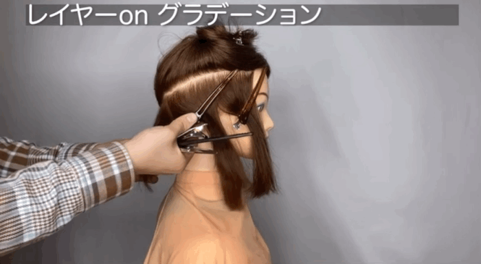 ツーセクションカット