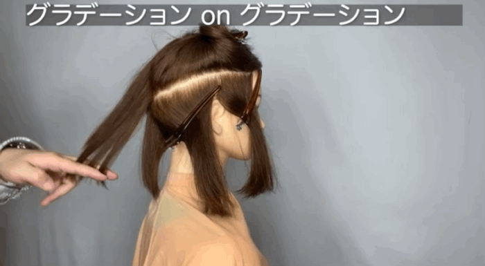 ツーセクションカット