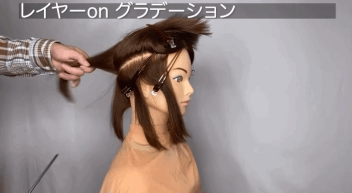 ツーセクションカット