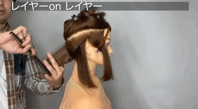 ツーセクションカット