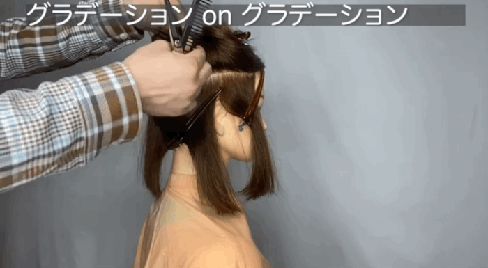 ツーセクションカット