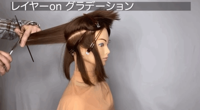 ツーセクションカット