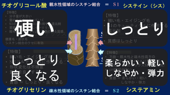 パーマ薬剤・チオ・シス・システアミン・チオグリセリン・GMT・スピエラ
