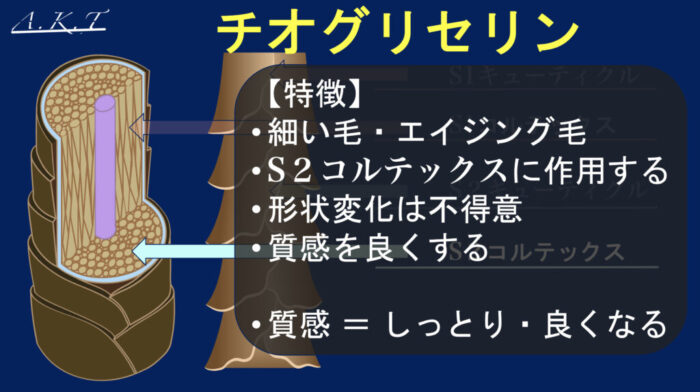 パーマ薬剤・チオ・シス・システアミン・チオグリセリン・GMT・スピエラ