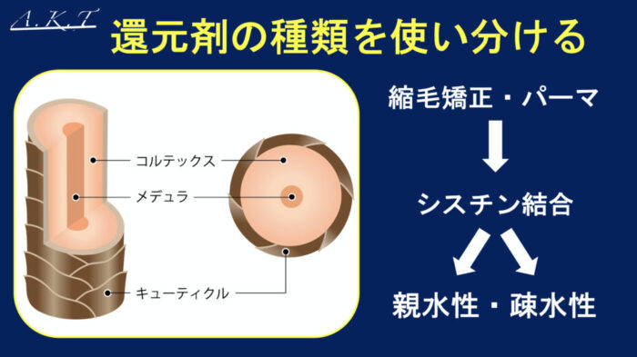 パーマ薬剤・チオ・シス・システアミン・チオグリセリン・GMT・スピエラ