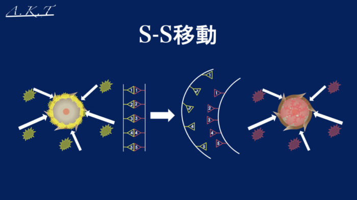 ダメージ現象・クリープパーマ・応力緩和