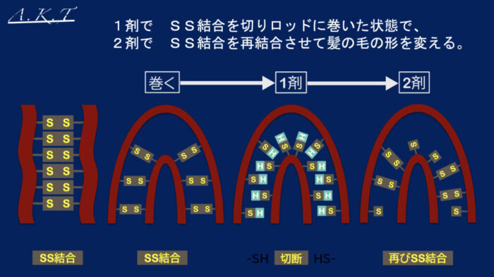 美容師・パーマで覚えておく3つの基礎学【完全初心者向け】