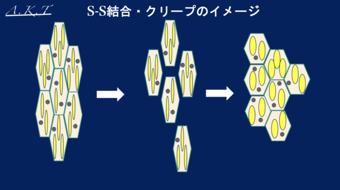 S-S結合・クリープパーマ　イメージ