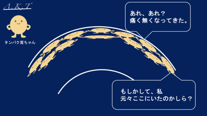 美容師・パーマで覚えておく3つの基礎学【完全初心者向け】