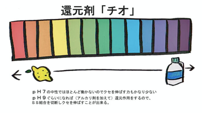 基礎から学ぶ縮毛矯正・美容師向け