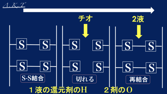 パーマ還元と酸化の仕組み
