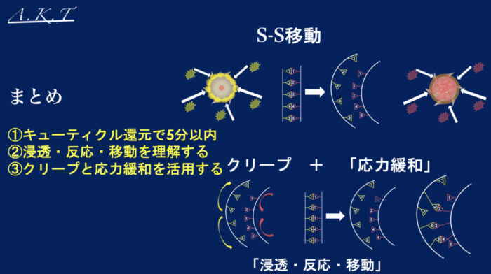 ダメージ現象・クリープパーマ・応力緩和