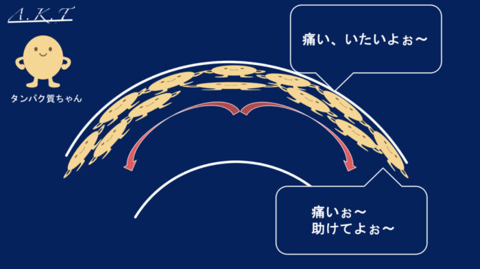 美容師・パーマで覚えておく3つの基礎学【完全初心者向け】