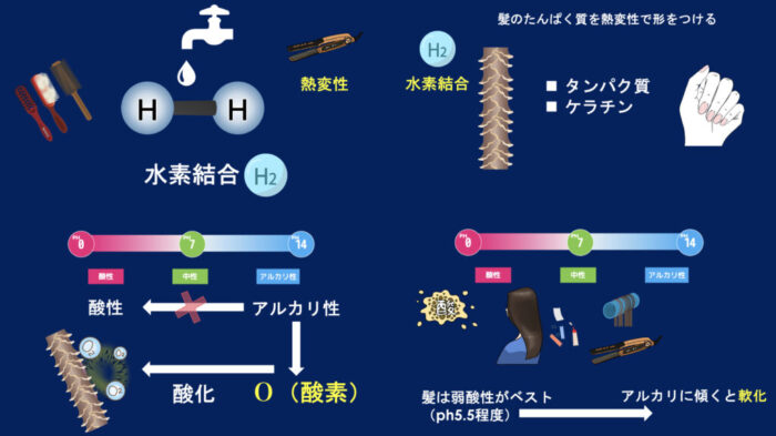 パーマにおける還元・軟化・膨潤