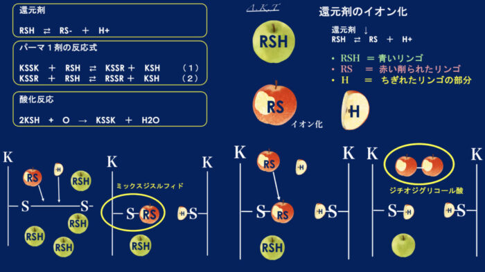 パーマ還元