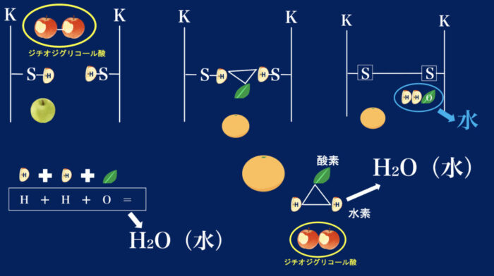 パーマ酸化反応