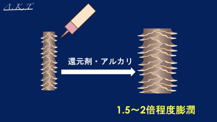 パーマ還元・軟化・膨潤