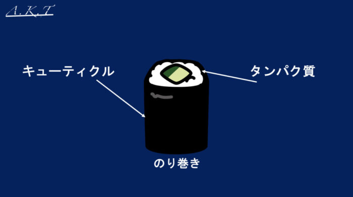 パーマ還元・軟化・膨潤