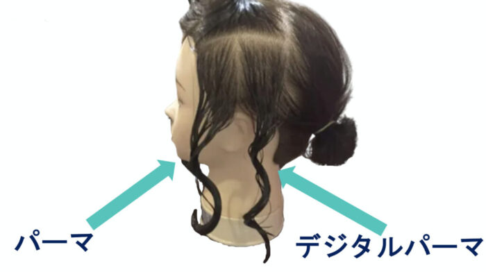 クリープパーマ・応力緩和