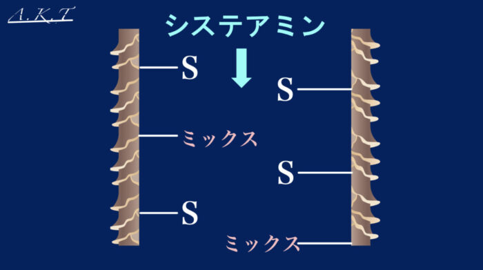システアミン還元剤の反応の特徴・ミックスの親水・疎水の違い