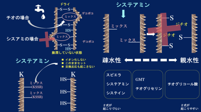 システアミン・還元剤反応
