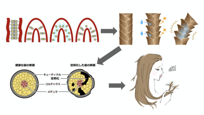 パーマ・縮毛矯正・膨潤・軟化