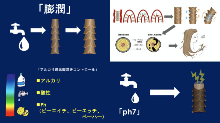 パーマ・縮毛矯正・膨潤・軟化