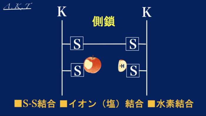 パーマ・縮毛矯正・膨潤・軟化
