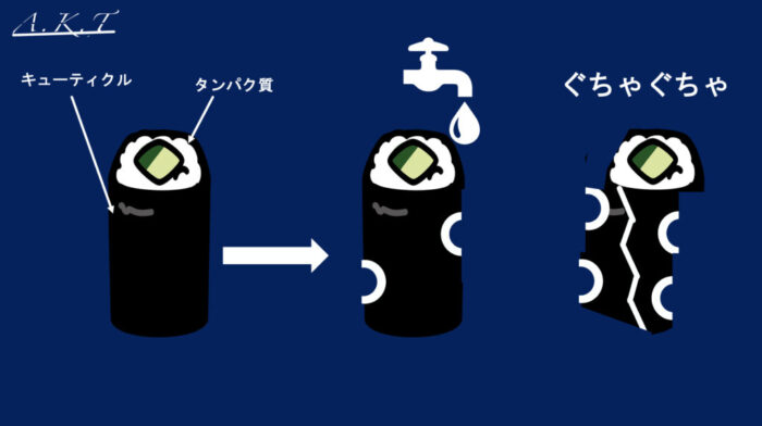 パーマ・縮毛矯正・膨潤・軟化
