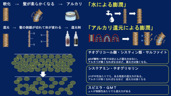 パーマ・縮毛矯正・還元・軟化・膨潤コントロール