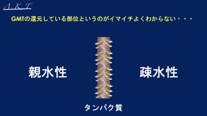 スピエラ・GMT違い・検証
