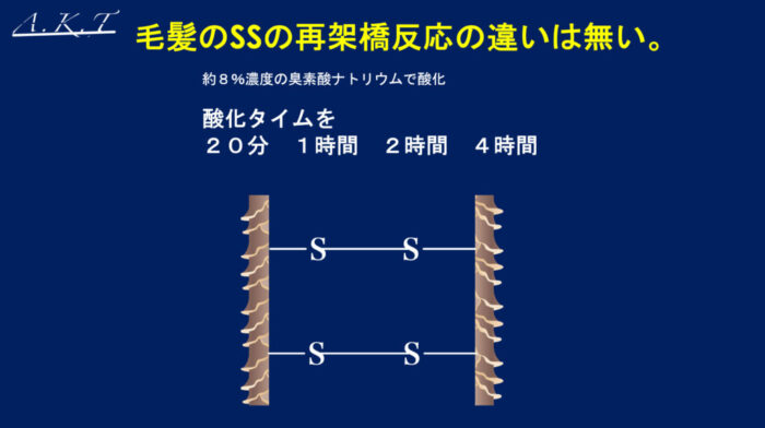パーマネントウェーブ処理におけるチオグリコール酸還元後の水洗による毛髪内ジスルフィド架橋の再生機構・パーマ2液・中間水洗・架橋・酸化とは？