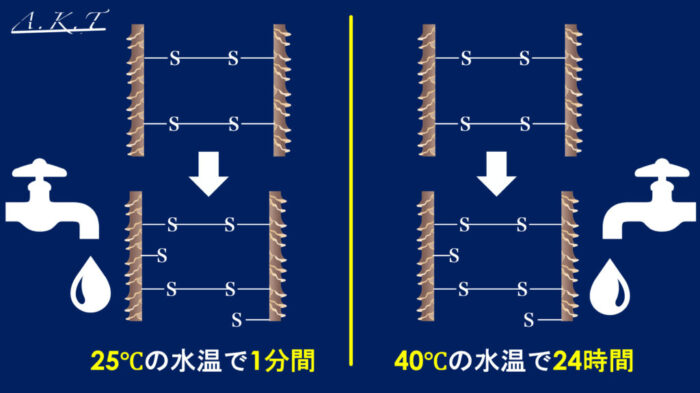 パーマネントウェーブ処理におけるチオグリコール酸還元後の水洗による毛髪内ジスルフィド架橋の再生機構・パーマ2液・中間水洗・架橋・酸化とは？