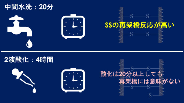 パーマネントウェーブ処理におけるチオグリコール酸還元後の水洗による毛髪内ジスルフィド架橋の再生機構・パーマ2液・中間水洗・架橋・酸化とは？