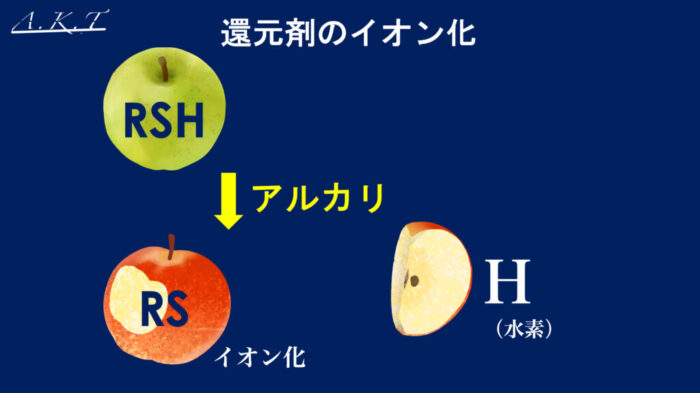 パーマネントウェーブ処理におけるチオグリコール酸還元後の水洗による毛髪内ジスルフィド架橋の再生機構・パーマ2液・中間水洗・架橋・酸化とは？