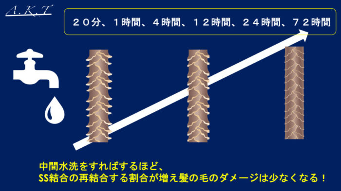 パーマネントウェーブ処理におけるチオグリコール酸還元後の水洗による毛髪内ジスルフィド架橋の再生機構・パーマ2液・中間水洗・架橋・酸化とは？