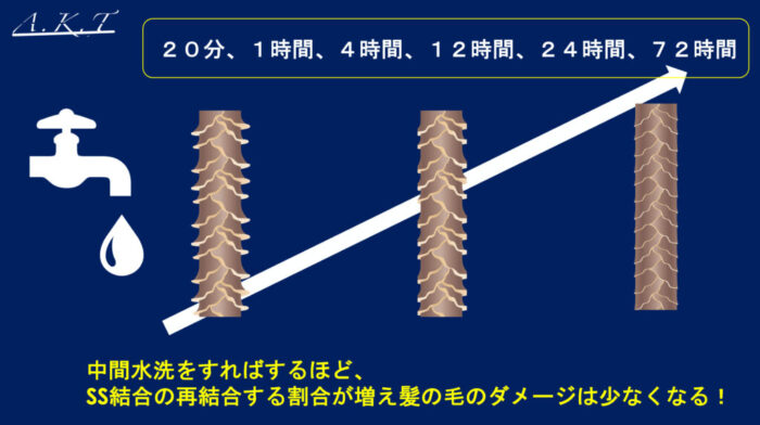 パーマネントウェーブ処理におけるチオグリコール酸還元後の水洗による毛髪内ジスルフィド架橋の再生機構・パーマ2液・中間水洗・架橋・酸化とは？