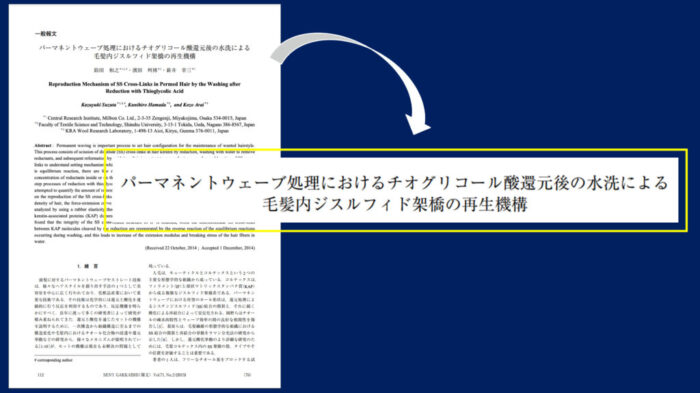 パーマネントウェーブ処理におけるチオグリコール酸還元後の水洗による毛髪内ジスルフィド架橋の再生機構・パーマ2液・中間水洗・架橋・酸化とは？