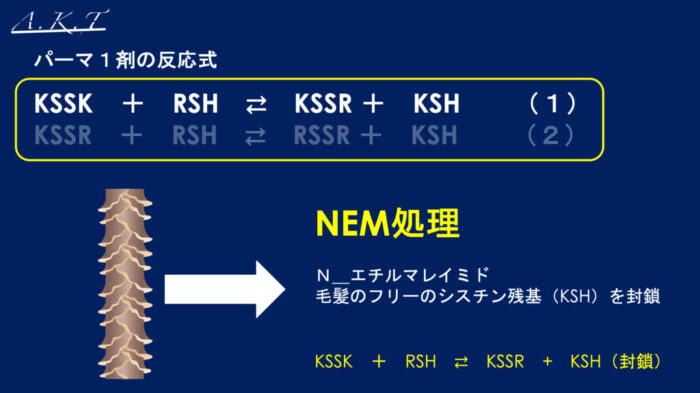 パーマネントウェーブ処理におけるチオグリコール酸還元後の水洗による毛髪内ジスルフィド架橋の再生機構・パーマ2液・中間水洗・架橋・酸化とは？