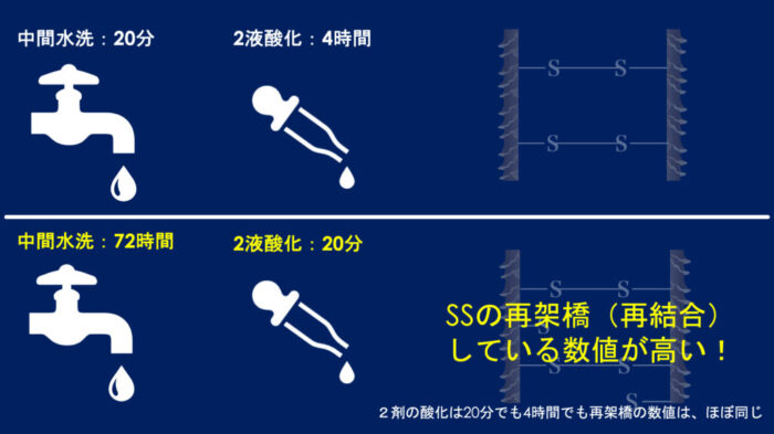 パーマネントウェーブ処理におけるチオグリコール酸還元後の水洗による毛髪内ジスルフィド架橋の再生機構・パーマ2液・中間水洗・架橋・酸化とは？