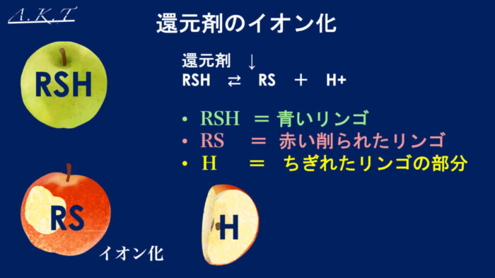 パーマネントウェーブ処理におけるチオグリコール酸還元後の水洗による毛髪内ジスルフィド架橋の再生機構・パーマ2液・中間水洗・架橋・酸化とは？
