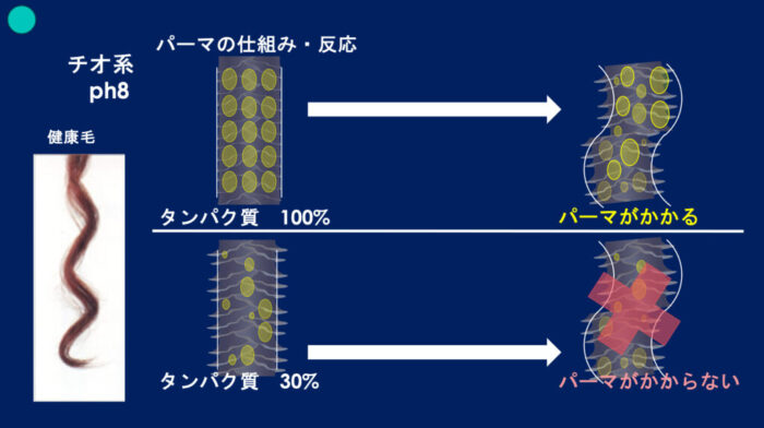 ブリーチパーマかけられる？ダメージの見方・かけ方・ブリーチからパーマしたらどうなる？ ブリーチした髪でもパーマはかけられますか？ ブリーチをするとパーマがかけられないのはなぜ？ パーマをかける時にどんな薬を選んでいけばいいのか分からない